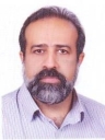 دکتر محسن کرمی رباطی