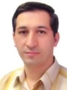 دکتر محمد رضا سلطانی نژاد